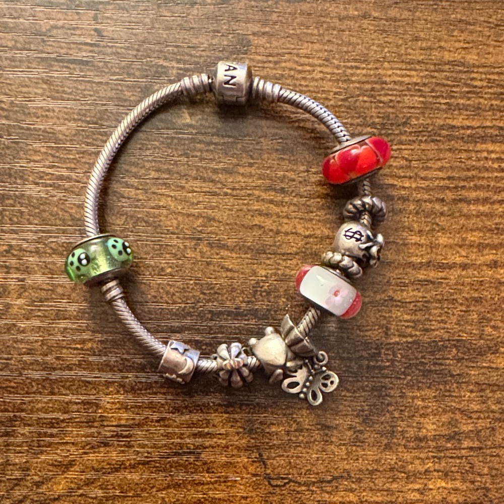 Charming Pandora Bracelet with Charms